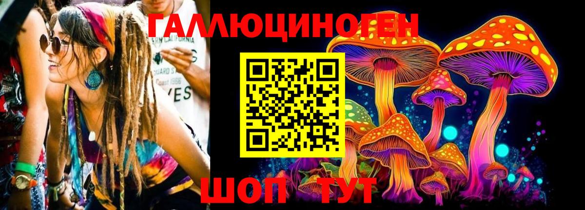 Галлюциногенные грибы Psilocybine cubensis  купить  цена  Вход с VPN  Кушва  Псилоцибиновые грибы Magic Shrooms 